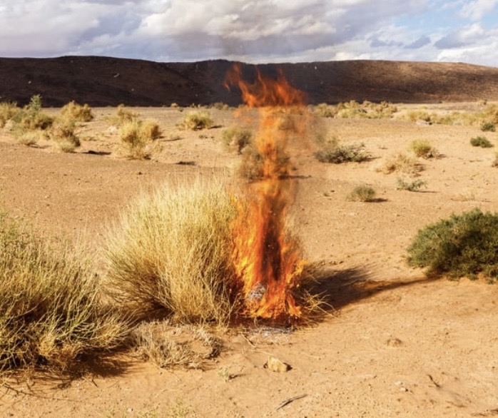 Burning Bushes All Around Us - Treasures in Trials